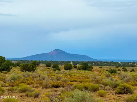 2028 S Avondale Rd #142, Williams, AZ 86046