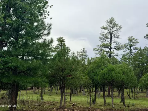 4517 Durango Dr #374, Happy Jack, AZ 86024