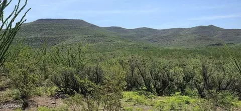 tbd E Windmill Rd #-, Tombstone, AZ 85638 photo 3