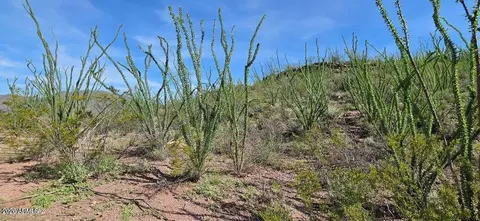 tbd E Windmill Rd #-, Tombstone, AZ 85638 photo 8