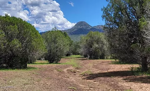 Other - 13664 Round Mountain Expy, Williams, AZ 86046 photo 4 of 31