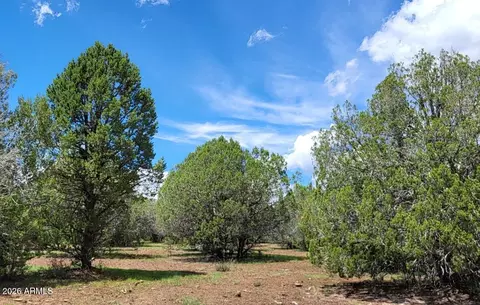 Other - 13664 Round Mountain Expy, Williams, AZ 86046 photo 17 of 31
