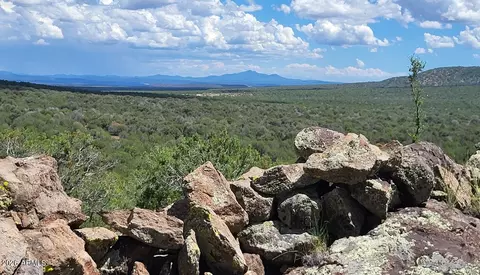 View/Area - 13664 Round Mountain Expy, Williams, AZ 86046 photo 1 of 2
