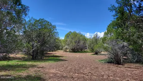 Other - 13664 Round Mountain Expy, Williams, AZ 86046 photo 5 of 31