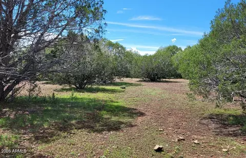 Other - 13664 Round Mountain Expy, Williams, AZ 86046 photo 9 of 31