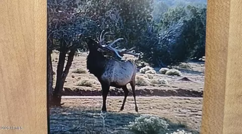 Other - 13664 Round Mountain Expy, Williams, AZ 86046 photo 13 of 31
