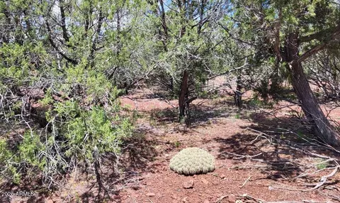 Other - 13664 Round Mountain Expy, Williams, AZ 86046 photo 2 of 31