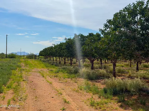 0 E Phillips Rd 40 Acres -- #-, Willcox, AZ 85643 photo 18