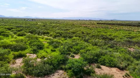 0 E Phillips Rd 40 Acres -- #-, Willcox, AZ 85643 photo 13