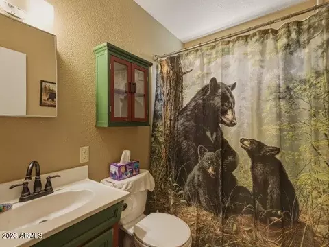 Bath - 8076 W Lufkin Dr, Pine, AZ 85544 photo 1 of 2