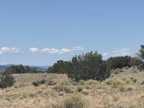 lot753 Woodland Valley Rnch #753, Saint Johns, AZ 85936