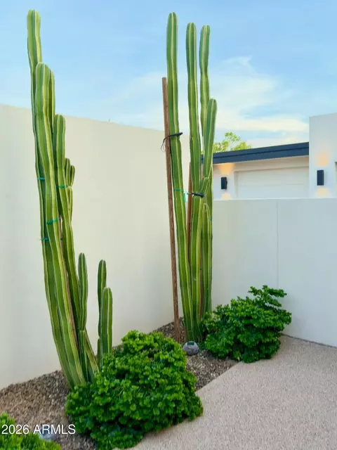 Exterior - 5143 Exeter Blvd, Phoenix, AZ 85018 photo 18 of 22