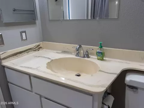 Bath - 10020 W Royal Oak Rd #E, Sun City, AZ 85351 photo 4 of 4