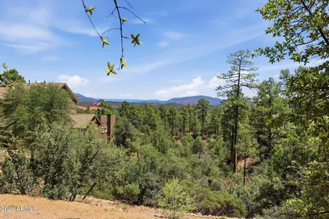 Other - 24 E Saddleback Trl, Payson, AZ 85541 photo 7 of 8