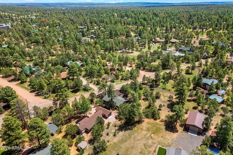 View/Area - 2976 Pine Rim Rd, Overgaard, AZ 85933 photo 4 of 5