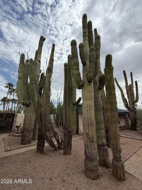 Exterior - 8712 E Main St, Mesa, AZ 85207 photo 8 of 10