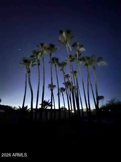 Other - 8712 E Main St, Mesa, AZ 85207 photo 17 of 20