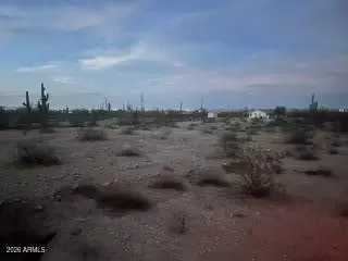 0 W Momoli Rd W #21, Maricopa, AZ 85139