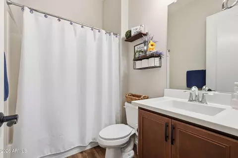 Bath - 10713 E Stearn Ave, Mesa, AZ 85212 photo 3 of 4