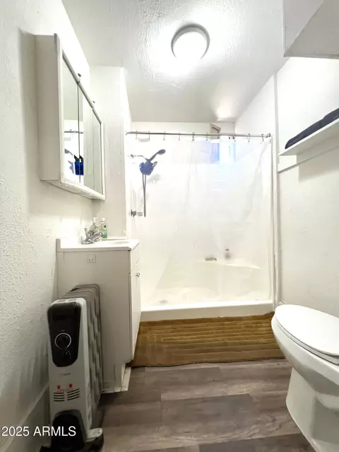 Bath - 434 S Hill St, Globe, AZ 85501 photo 3 of 6