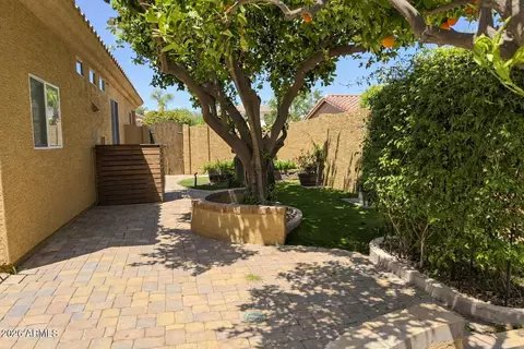 Exterior - 1523 E Del Rio St, Gilbert, AZ 85295 photo 8 of 9