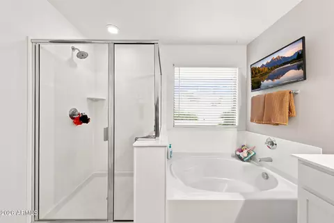 Bath - 8351 E Impala Ave, Mesa, AZ 85209 photo 5 of 6