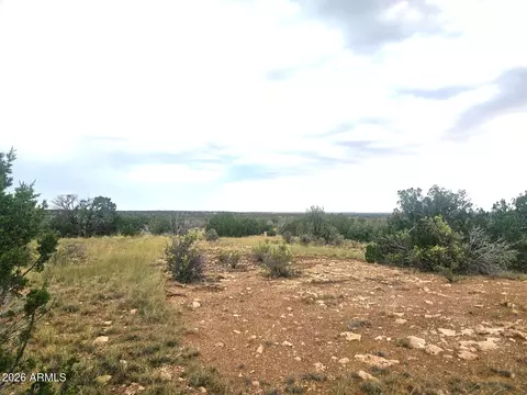 5075 Sidlyn Rd #-, Heber, AZ 85928 photo 8