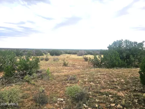5075 Sidlyn Rd #-, Heber, AZ 85928 photo 9
