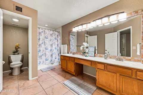 Bath - 4207 E Jojoba Rd, Phoenix, AZ 85044 photo 1 of 3