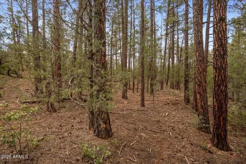 tbd Pine Needle Dr #-, Show Low, AZ 85901 photo 2