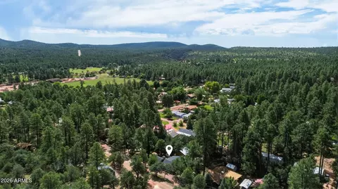 View/Area - 6401 W Randall Dr W, Pine, AZ 85544 photo 9 of 14