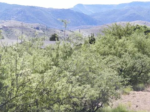 2070 Crossroads Blvd #128, Clarkdale, AZ 86324