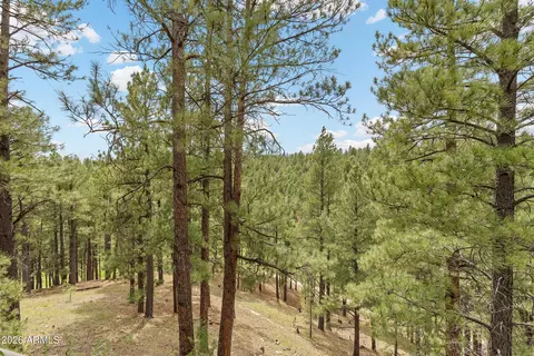 Other - 2354 Link Smith --, Flagstaff, AZ 86005 photo 13 of 22