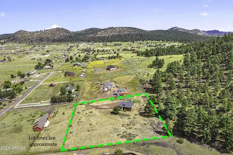 View/Area - 9013 Beasley Rd, Flagstaff, AZ 86004 photo 6 of 7