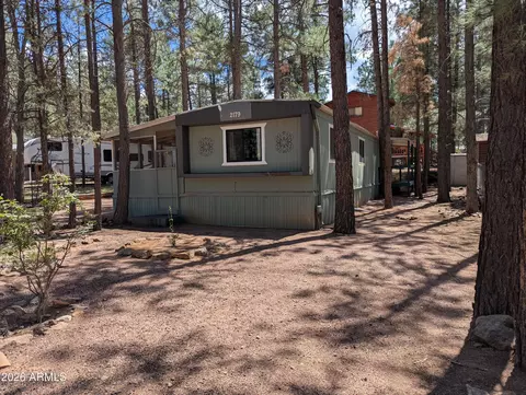 2179 N Woods Dr, Overgaard, AZ 85933 photo 3