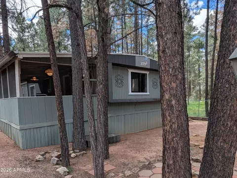 2179 N Woods Dr, Overgaard, AZ 85933 photo 22