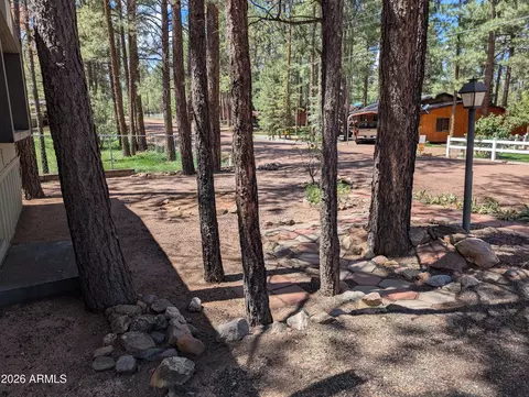 2179 N Woods Dr, Overgaard, AZ 85933 photo 2