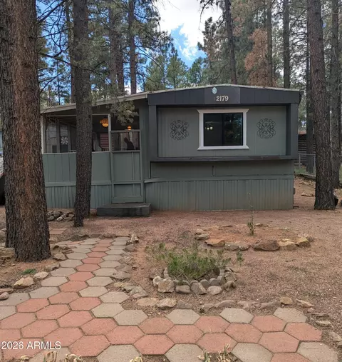 2179 N Woods Dr, Overgaard, AZ 85933 photo 21