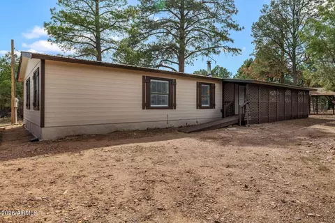 3520 Buckskin Rd, Overgaard, AZ 85933 photo 3