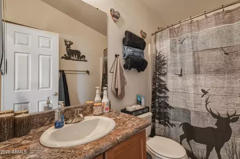 153 E Mitchell Way, Tonto Basin, AZ 85553 photo 16