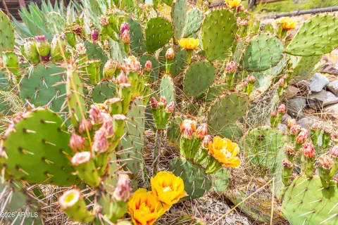 Other - 7101 E White Pacheco St, Willcox, AZ 85643 photo 30 of 33