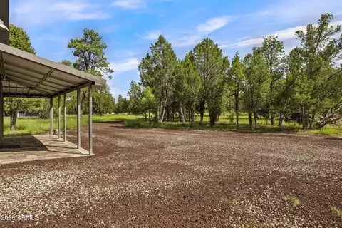 Other - 2970 Pine Rim Rd, Overgaard, AZ 85933 photo 3 of 10