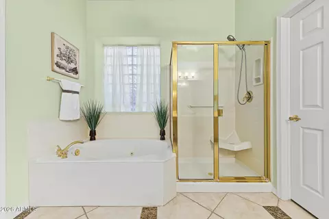 Bath - 4173 E Walnut Rd, Gilbert, AZ 85298 photo 3 of 3