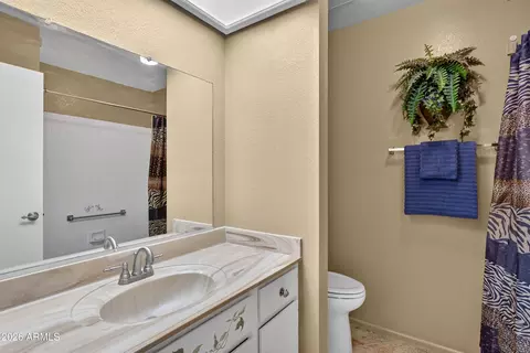 Bath - 8040 E Meseto Ave, Mesa, AZ 85209 photo 4 of 5