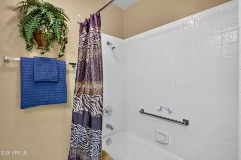 Bath - 8040 E Meseto Ave, Mesa, AZ 85209 photo 5 of 5