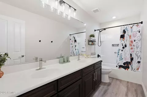 Bath - 40887 W Chambers Dr, Maricopa, AZ 85138 photo 2 of 3