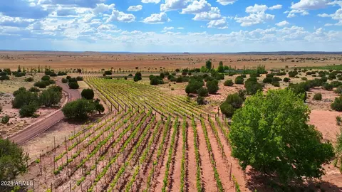 Other - 14 Cr 5309 --, Concho, AZ 85924 photo 2 of 27