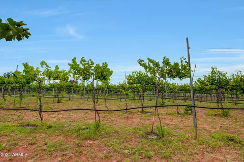 Other - 14 Cr 5309 --, Concho, AZ 85924 photo 20 of 27