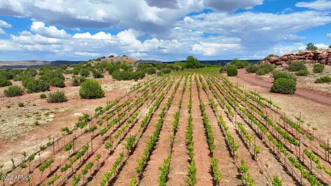 Other - 14 Cr 5309 --, Concho, AZ 85924 photo 25 of 27