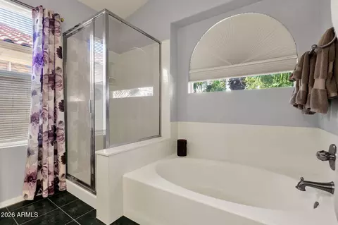 Bath - 4442 E White Aster St, Phoenix, AZ 85044 photo 2 of 3